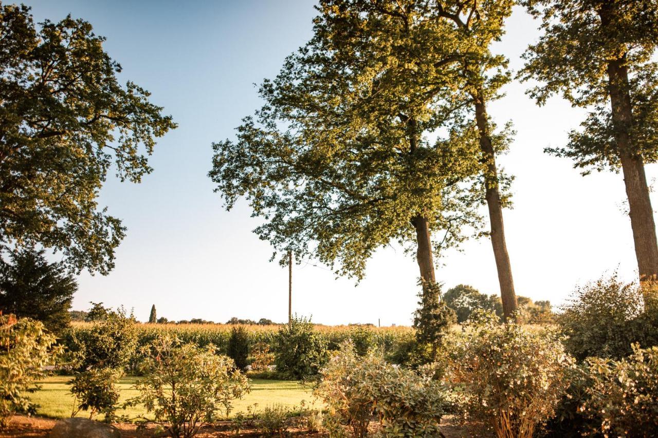 Gaestehaus Meiwes Delbrück エクステリア 写真